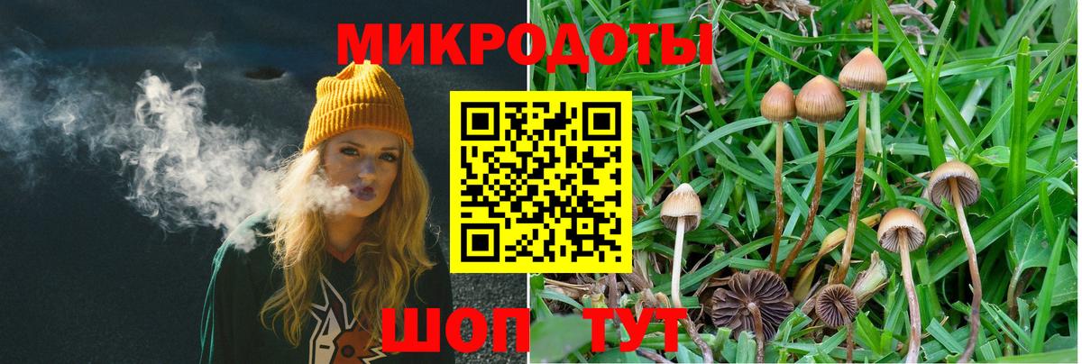 Галлюциногенные грибы Psilocybine cubensis  Вход с VPN  Псилоцибиновые грибы Cubensis  Воркута 